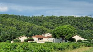 domaine viticole Côtes du Rhône