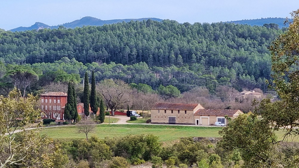 Domaine de 80 ha avec un potentiel côtes de Provence