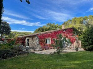 vignoble en agriculture biologique à Aix-en-Provence