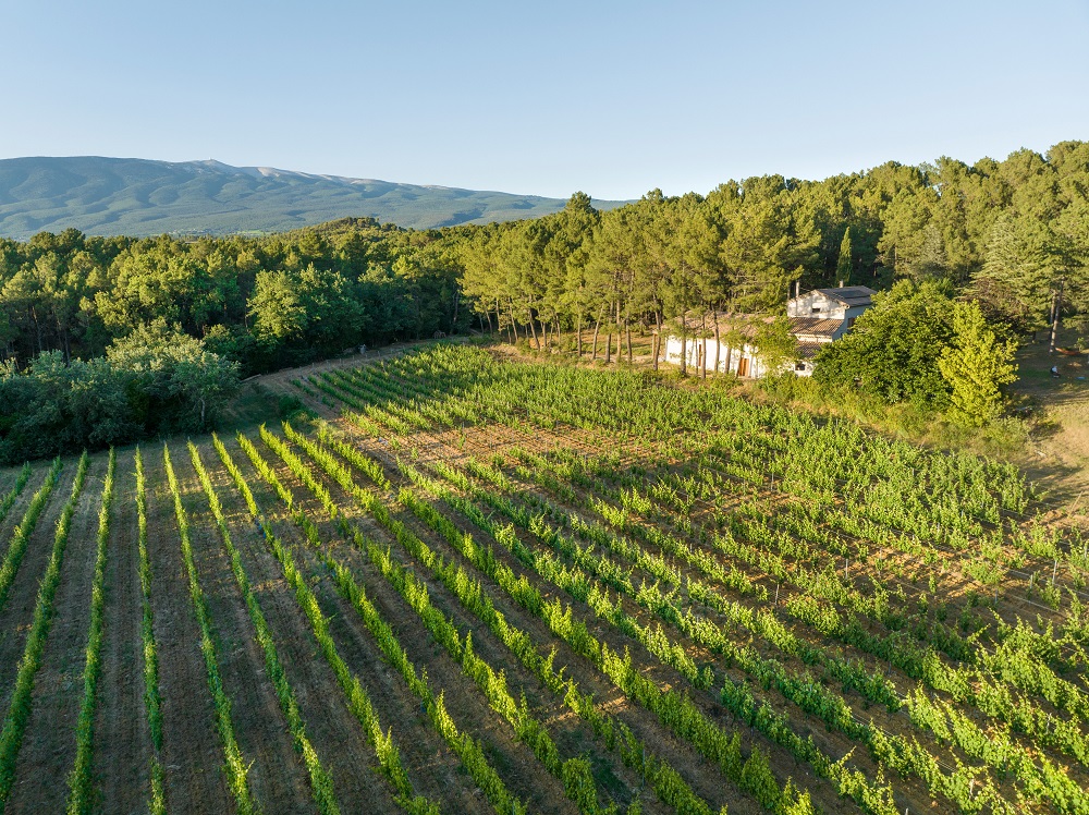 domaine childeric changes hands
