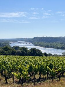 Impressive 37-ha work unit located close to Angers