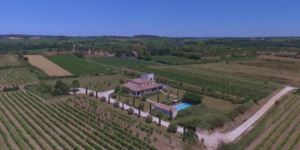 domaine viticole bio à vendre près d’Uzès