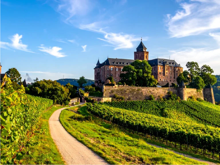 Val de Loire attire nouveaux investisseurs viticoles