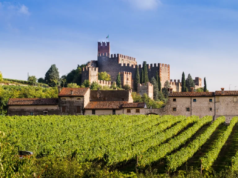 vignoble var appellations