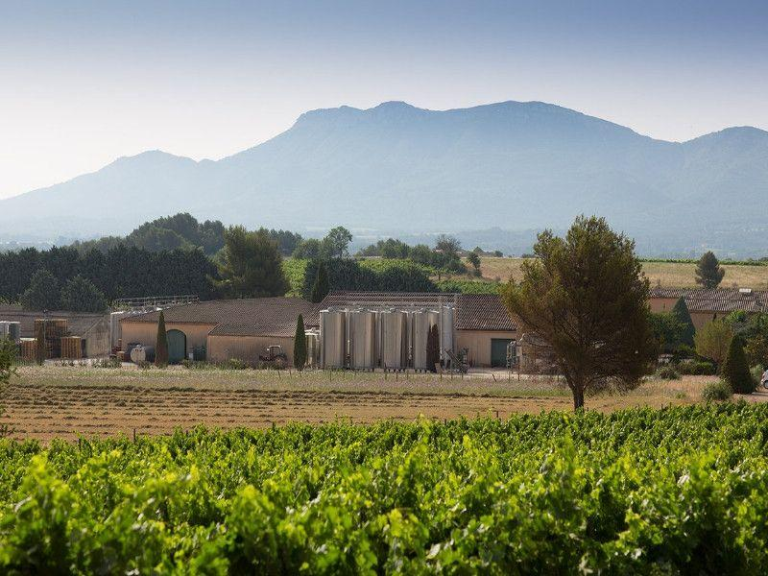 criteres achat vignoble var
